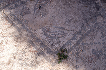 Mosaic floor at the Mausoleum Cave in the Menorah Caves Compound at Bet She'arim in Kiryat Tivon, Israel