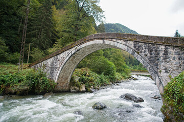 Fototapeta na wymiar Old stone bridge and a powerful river in Rize province in Turkey