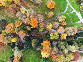 Naklejka na ściany i meble Autumn park seen from drone. autumn leaves