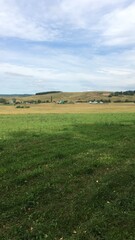 Naklejka premium field and sky