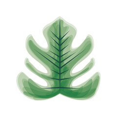 leaf monstera icon