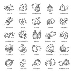 Fruits, exotic fruits, vegetarian - flat icon set