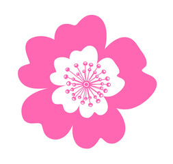 wild rose - dog rose flower isolated on white background