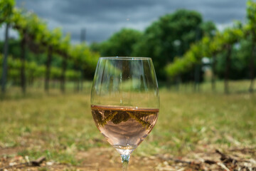 The final product and its source.  A wine glass as the subject and the grape wines as the background. 