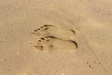 Fototapeta na wymiar two footprints of the right foot on wet, yellow sand at the beach.