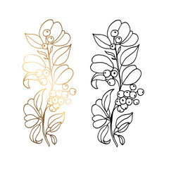 Monochrome and golden branches with small berries isolated on a white background. Hand-drawn black and white vector illustration of large leaves, small apples. For print and web pages