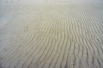 Sea sand. Sandy background. Sandy texture. Natural sea sand and river sand.