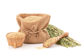 Green ears of rice and seeds isolated on white background.