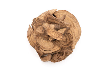 Jewel vine or Derris scandens isolated on white background with clipping path.top view,flat lay.