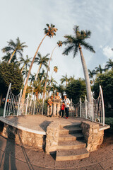 palmeras grandes en el pueblo magico de el fuerte sinaloa tierra del zorro
