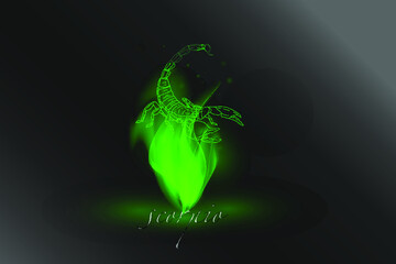 Zodiac sign in a glowing flame on a gray background. Astrological symbolism.