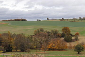 Fototapeta premium Herbstlandschaft im Hunsrück. Herbstlicht.