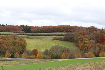 Fototapeta premium Herbstlandschaft im Hunsrück. Herbstlicht.