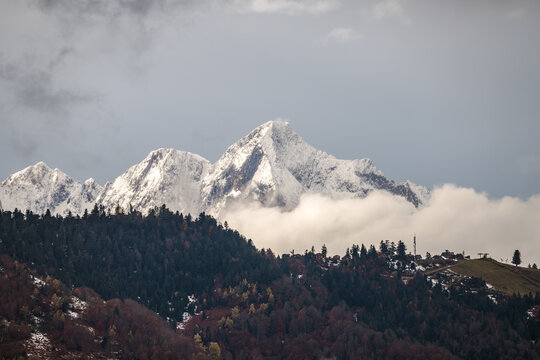 PremierPlan 画像 参照 1,961 Stock 写真、ベクターおよびビデオ Adobe Stock