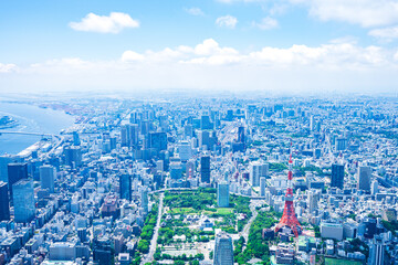 Fototapeta premium 東京タワー・空撮写真