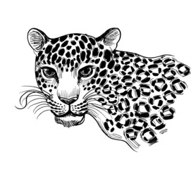 Wild leopard head. Ink black and white drawing