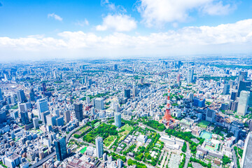 Fototapeta premium 東京タワー・空撮写真