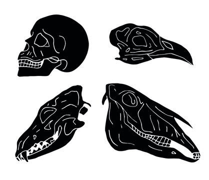 Vector set of hand drawn doodle sketch black animal and human skull isolated on white background
