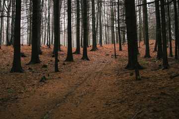 Hiking in Beskydy and Javorniky mountains, full autumn mood