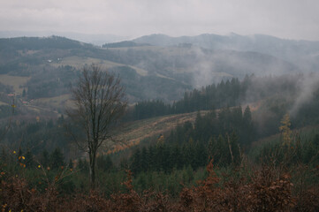 Hiking in Beskydy and Javorniky mountains, full autumn mood