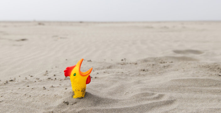 Funny rubber chicken toy buried up to its neck in sand at the ocean beach