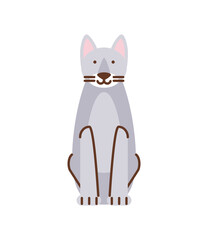 Obraz premium cat pet cartoon