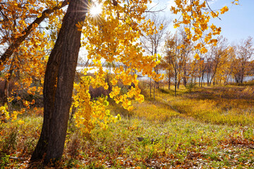 A pretty Fall scene at Cherry Creek State Park in Colorado with the sun shining through a large...