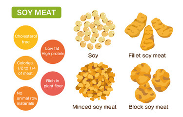 様々な形状の大豆ミートのイラスト(大豆・ミンチ・フィレ・ブロック）