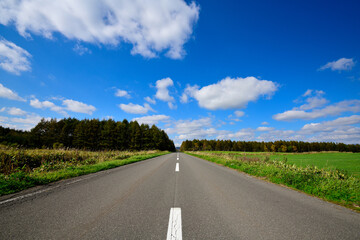 Fototapeta premium まっすぐな道