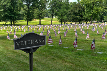 veterans graveyard with american flag
