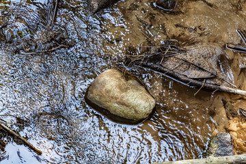 Brown Stone in a Creek - sparkling water moving around a brown stone  