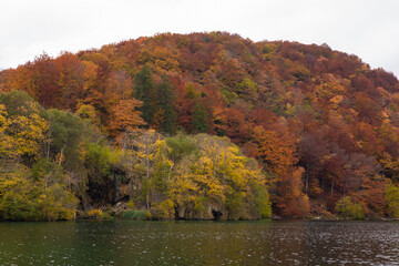 autumn in the park