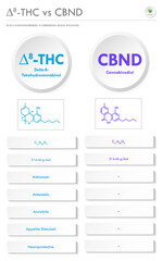 ∆8-THC vs CBND, Delta 8 Tetrahydrocannabinol vs Cannabinodiol vertical business infographic
