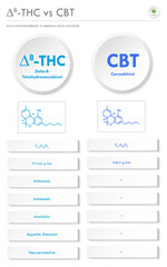 ∆8-THC vs CBT, Delta 8 Tetrahydrocannabinol vs Cannabitriol vertical business infographic