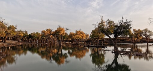 The picture shows beautiful scenery at Ejin Banner, China. 