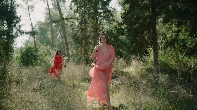 A beautiful woman in a pink dress walks towards the camera with a hand bag and pass it in a beautiful forest. behind her another model walks