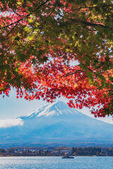 Fuji Mountain and Red Maple Leaves in Autumn, Kawaguchiko Lake, Japan	