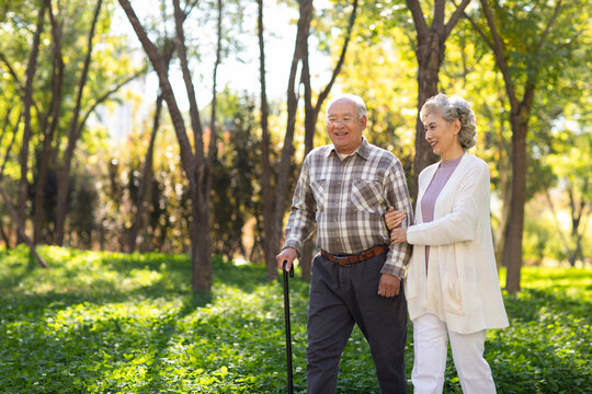 Cheerful senior couple walking in the park