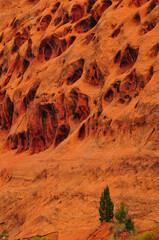 Eroded swiss cheese sandstone formations on the red rock walls of Long Canyon, Burr Trail, Grand Staircase-Escalante National Monument, Utah, USA