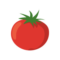 tomato vegetable fresh