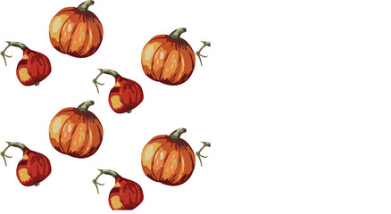 Pumpkins, two ripe orange fruits. Vector stock illustration isolated on white background.