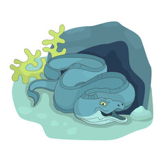 Vector illustration of Moray Eel.