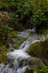 waterfall in the forest