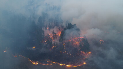 Forest fire. The forest is on fire. Irkutsk region. Extraordinary incident. Drone shooting © Анатолий Архипенко