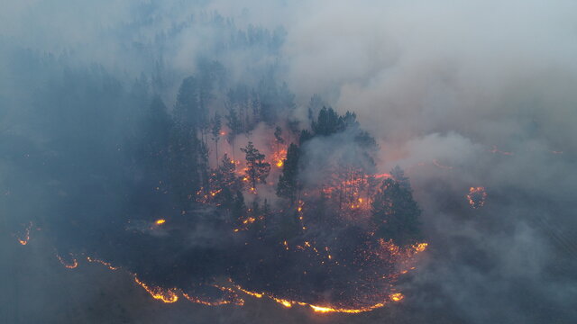 Forest fire. The forest is on fire. Irkutsk region. Extraordinary incident. Drone shooting