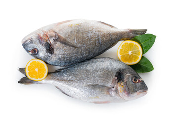 raw dorado fish
