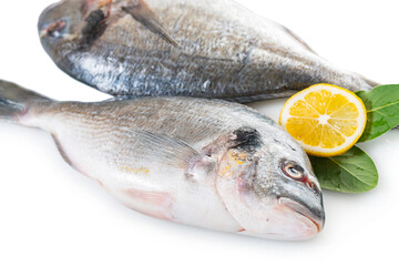 raw dorado fish with lemon