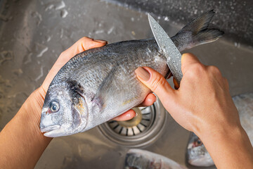 Dorado fish scales cleaning