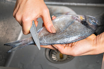 Dorado fish scales cleaning © AllFOOD
