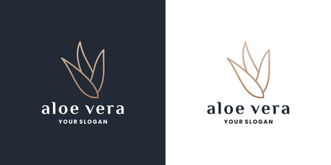 golden line art aloe vera logo design vector